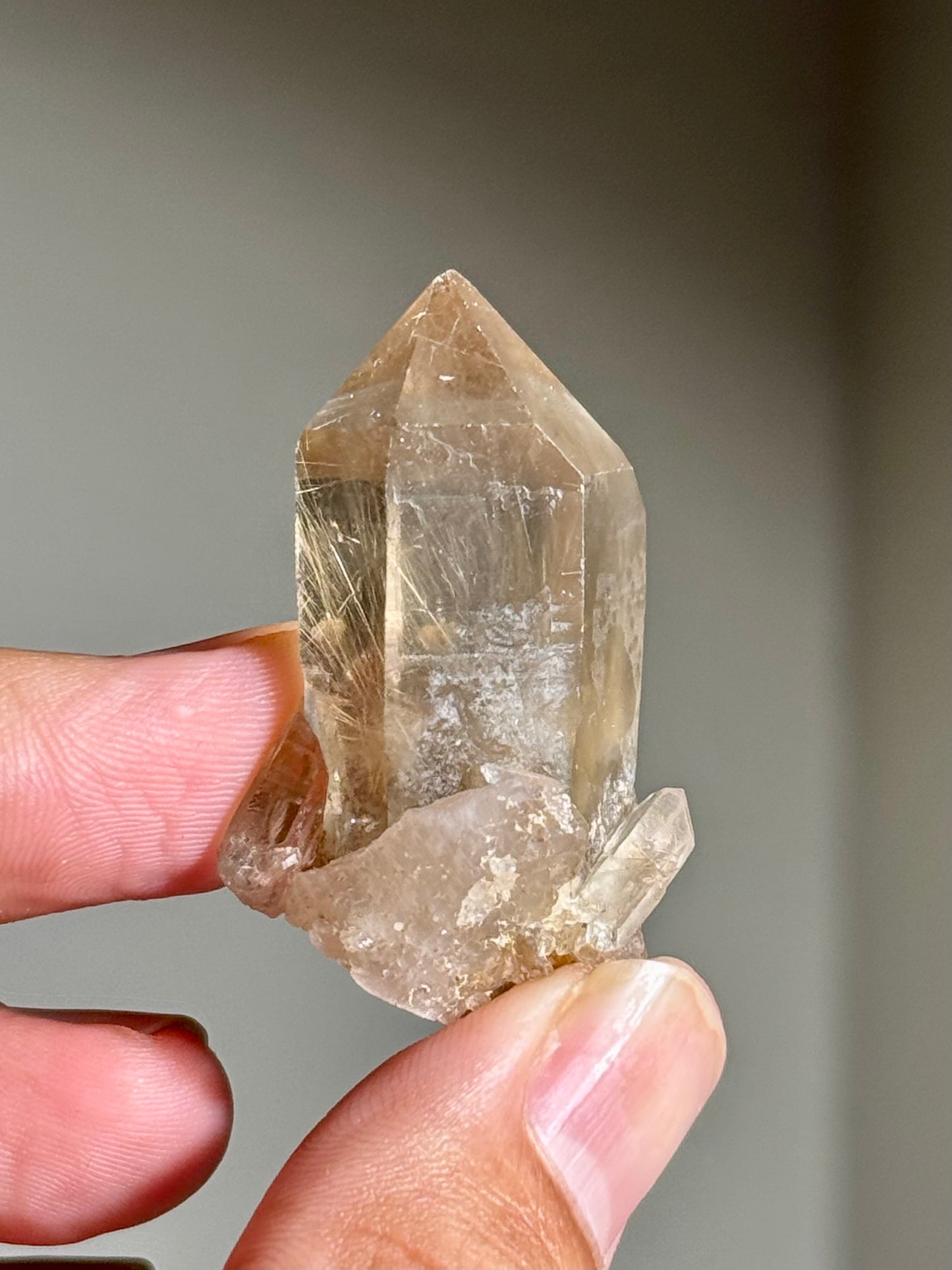 Smoky Quartz with Rutile