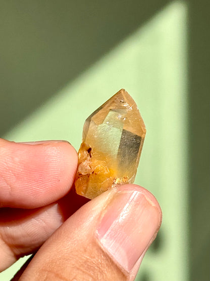 Semi-Polished Himalayan Quartz with Rutile