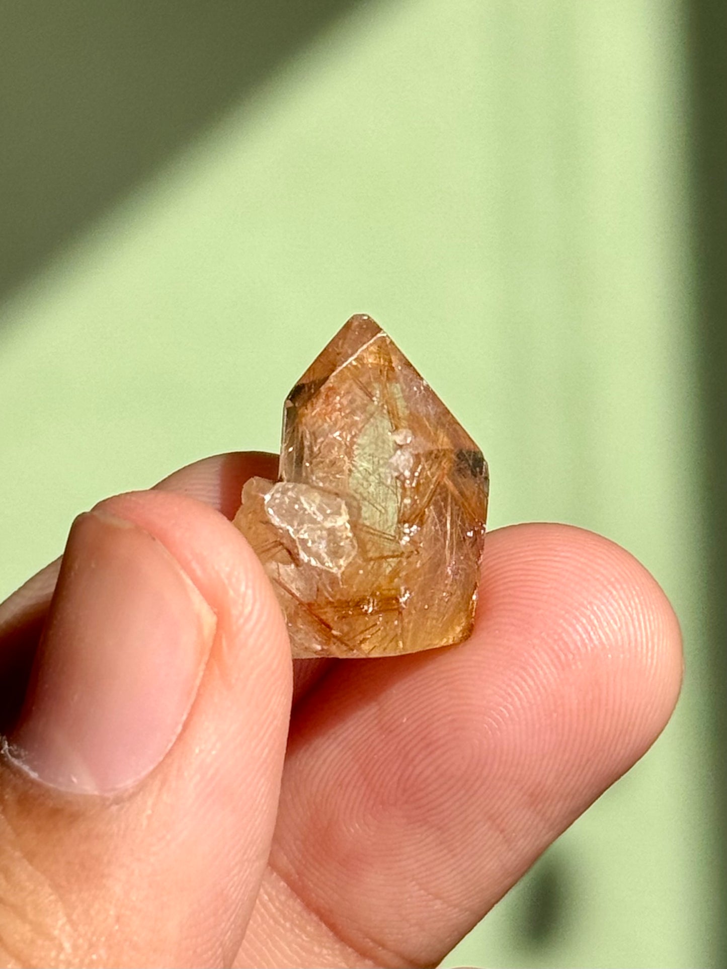 Semi-Polished Himalayan Quartz with Rutile