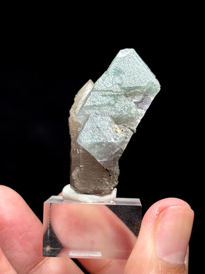 Fluorite on Smoky Quartz