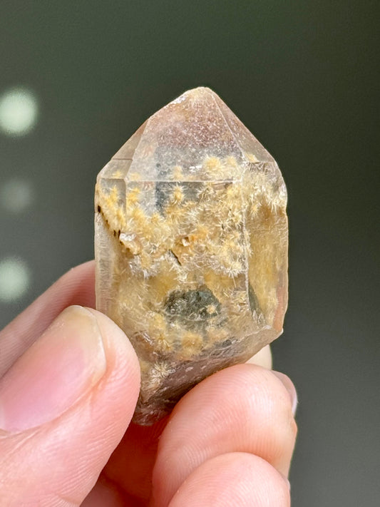 Dandelion Rutile in Quartz