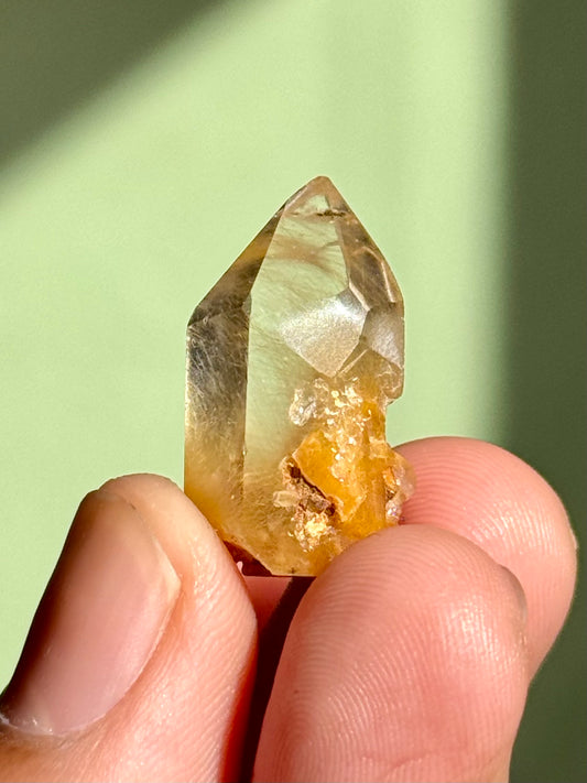 Semi-Polished Himalayan Quartz with Rutile
