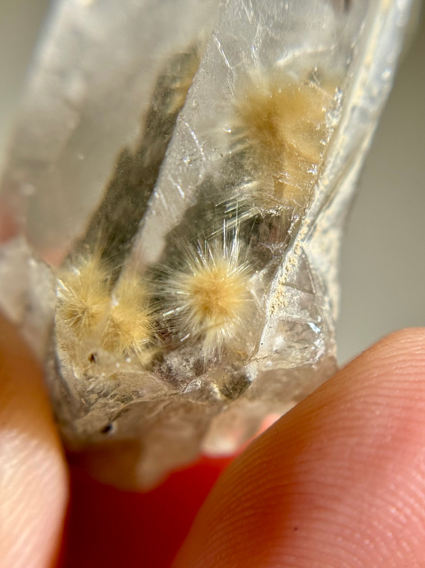 Dandelion Rutile in Quartz