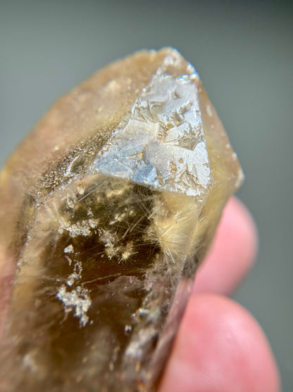 Dandelion Rutile in Quartz