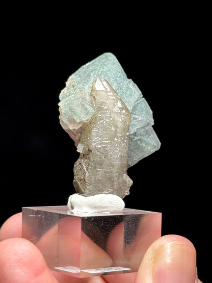 Fluorite on Smoky Quartz