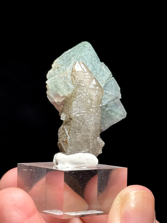 Fluorite on Smoky Quartz