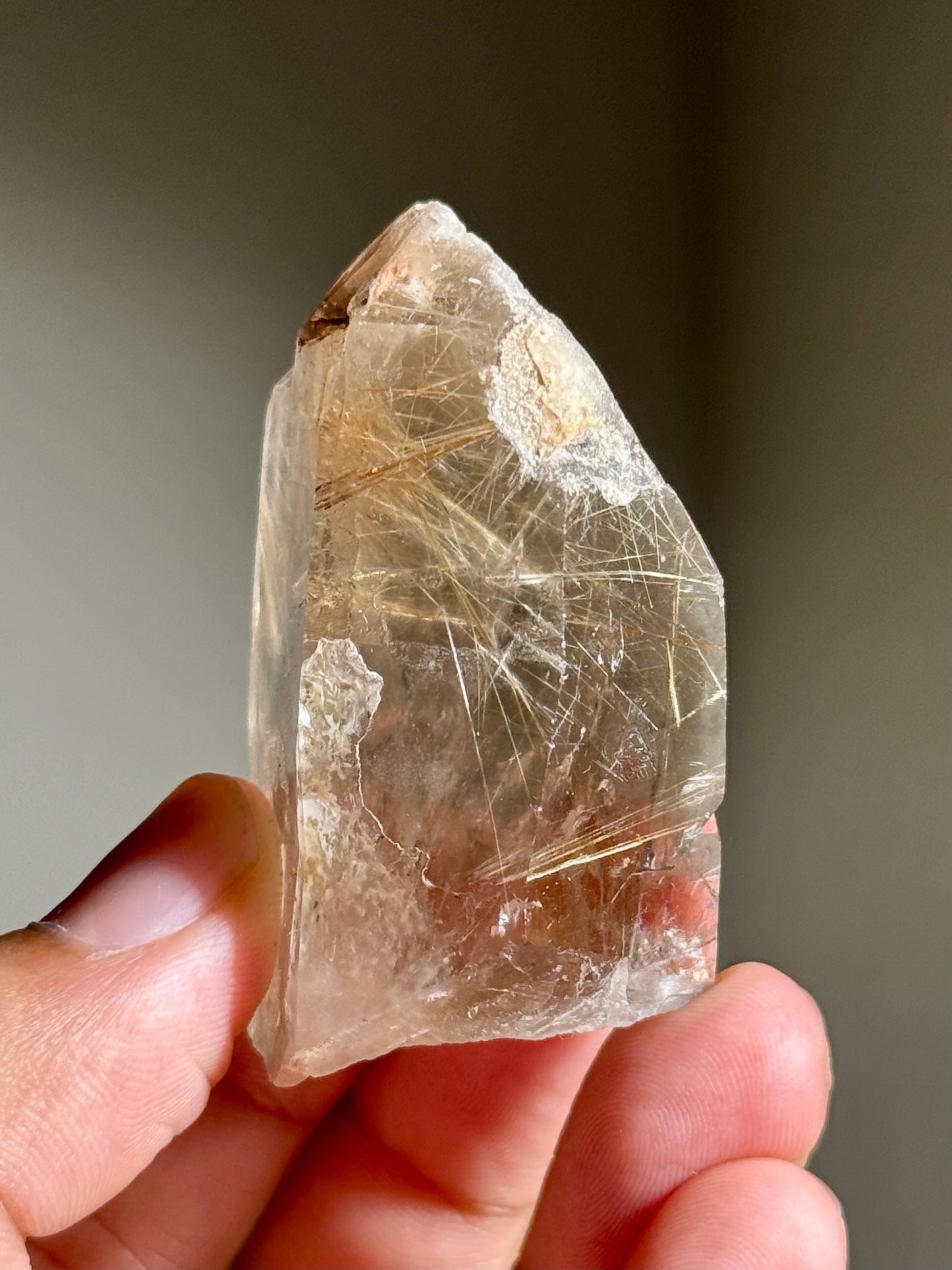 Smoky Quartz with Rutile