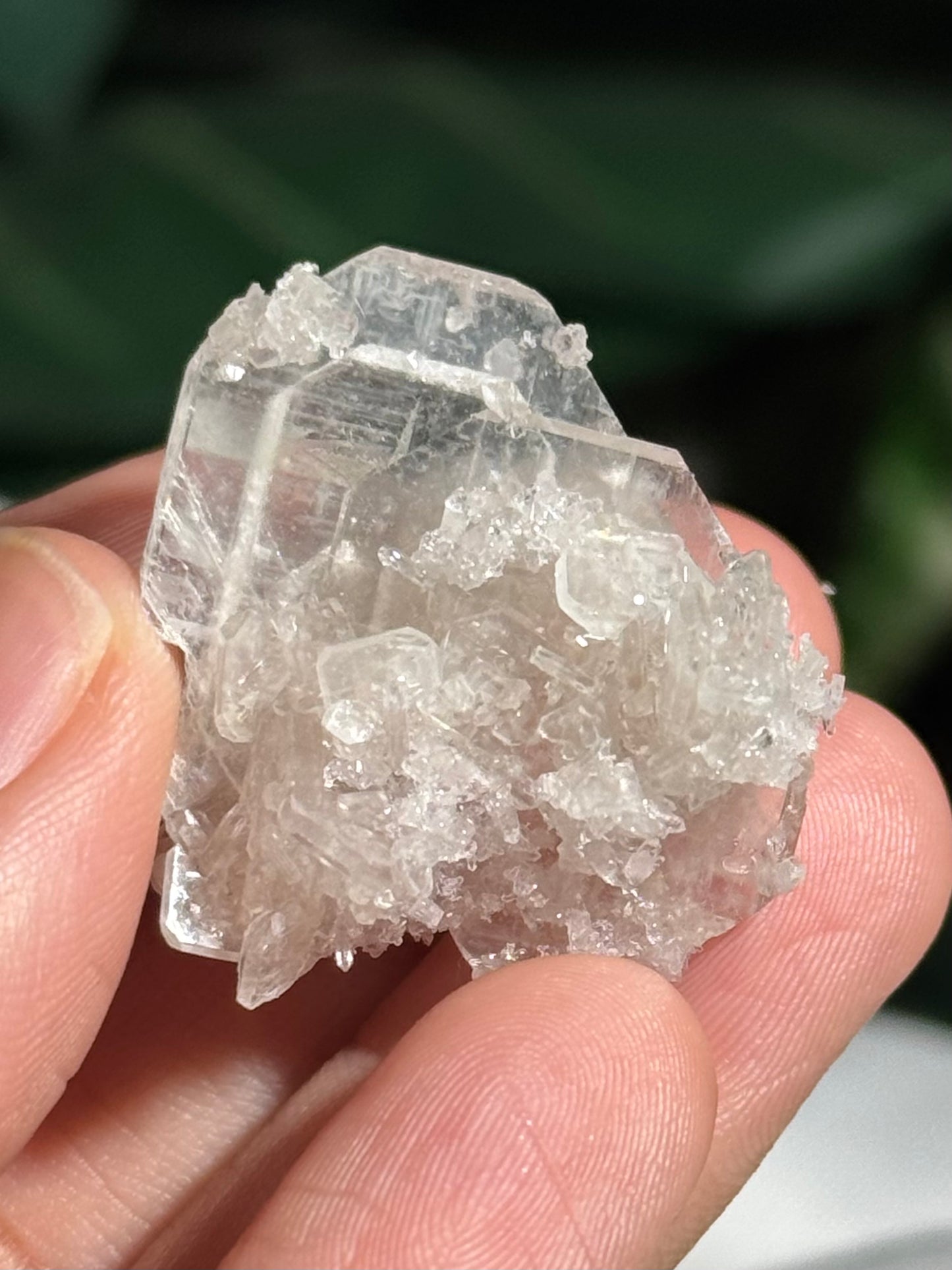 Apophyllite