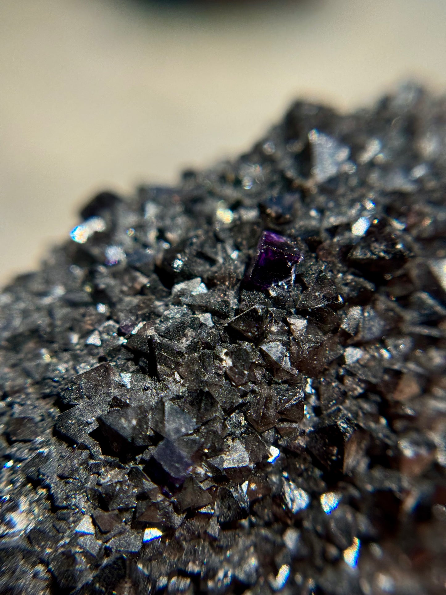 Quartz and Scheelite