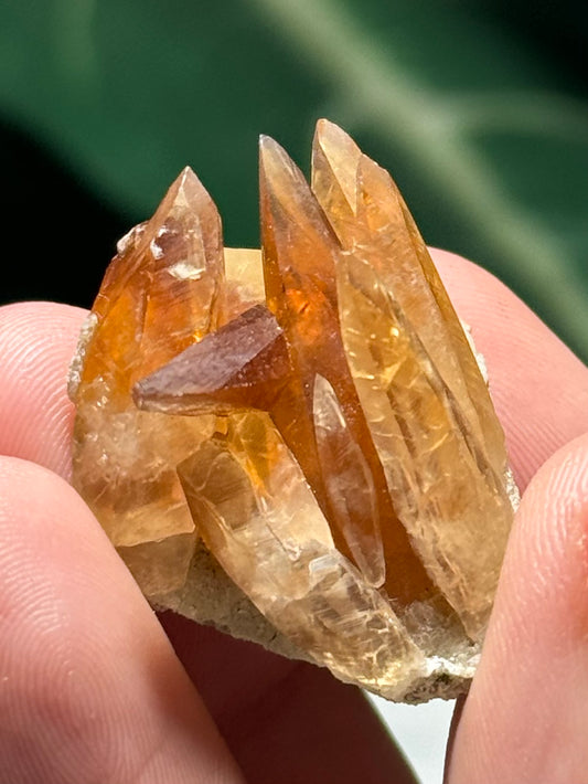 Highland Calcite