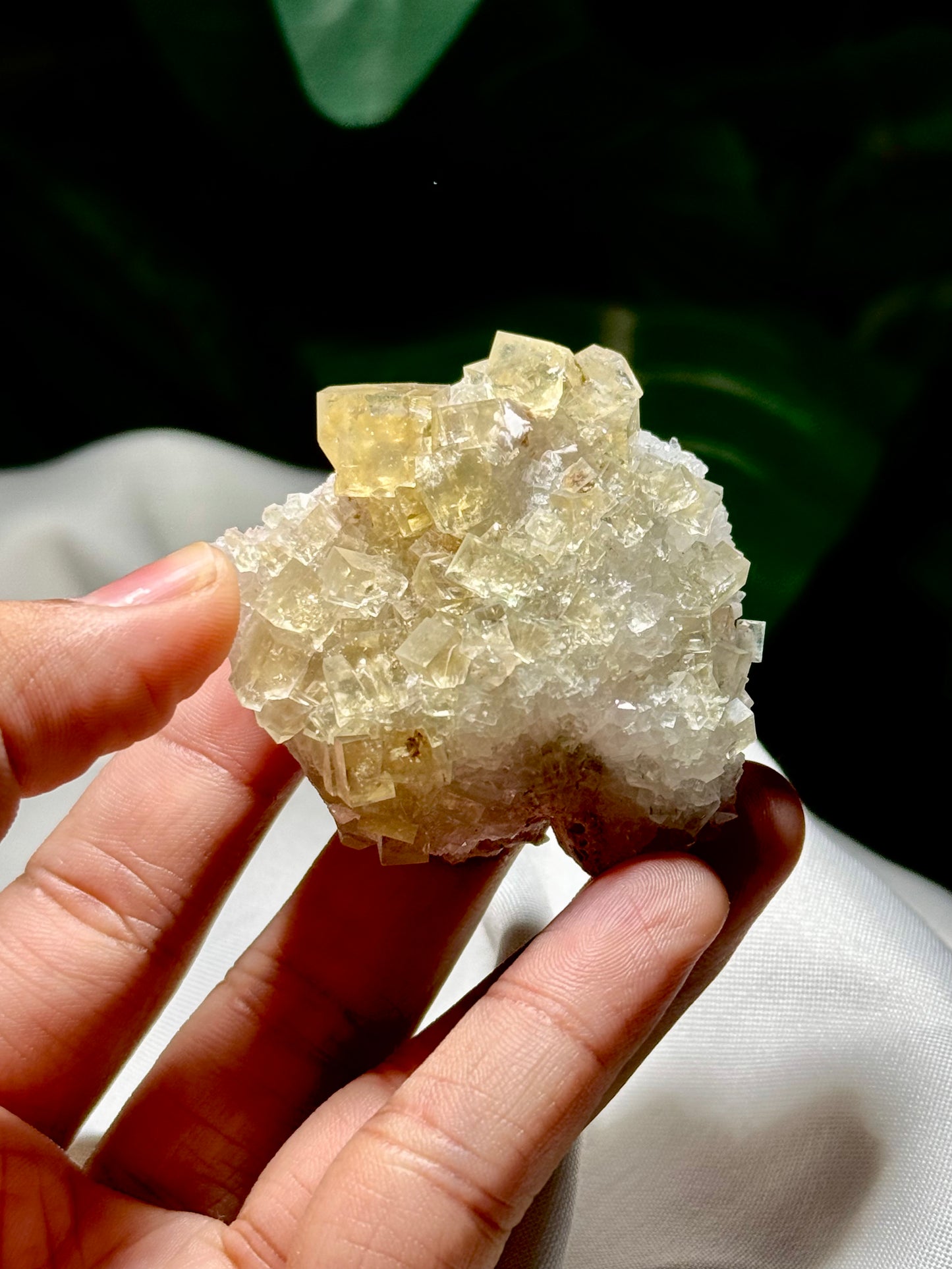 Fluorite on Quartz