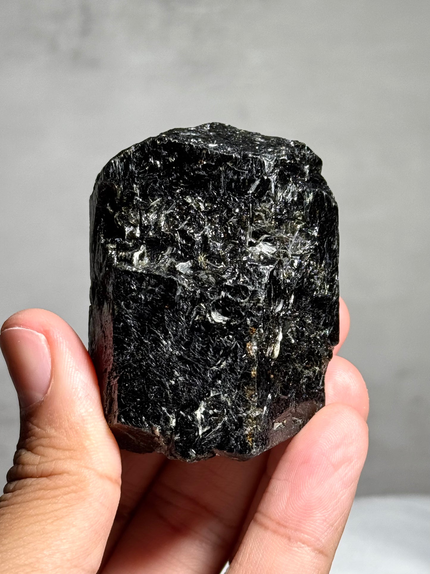 Dravite in Schorl