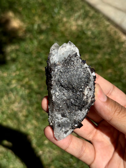 Quartz and Scheelite