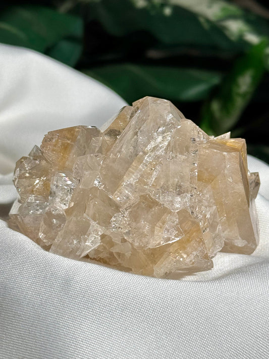 Apophyllite