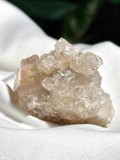 Apophyllite