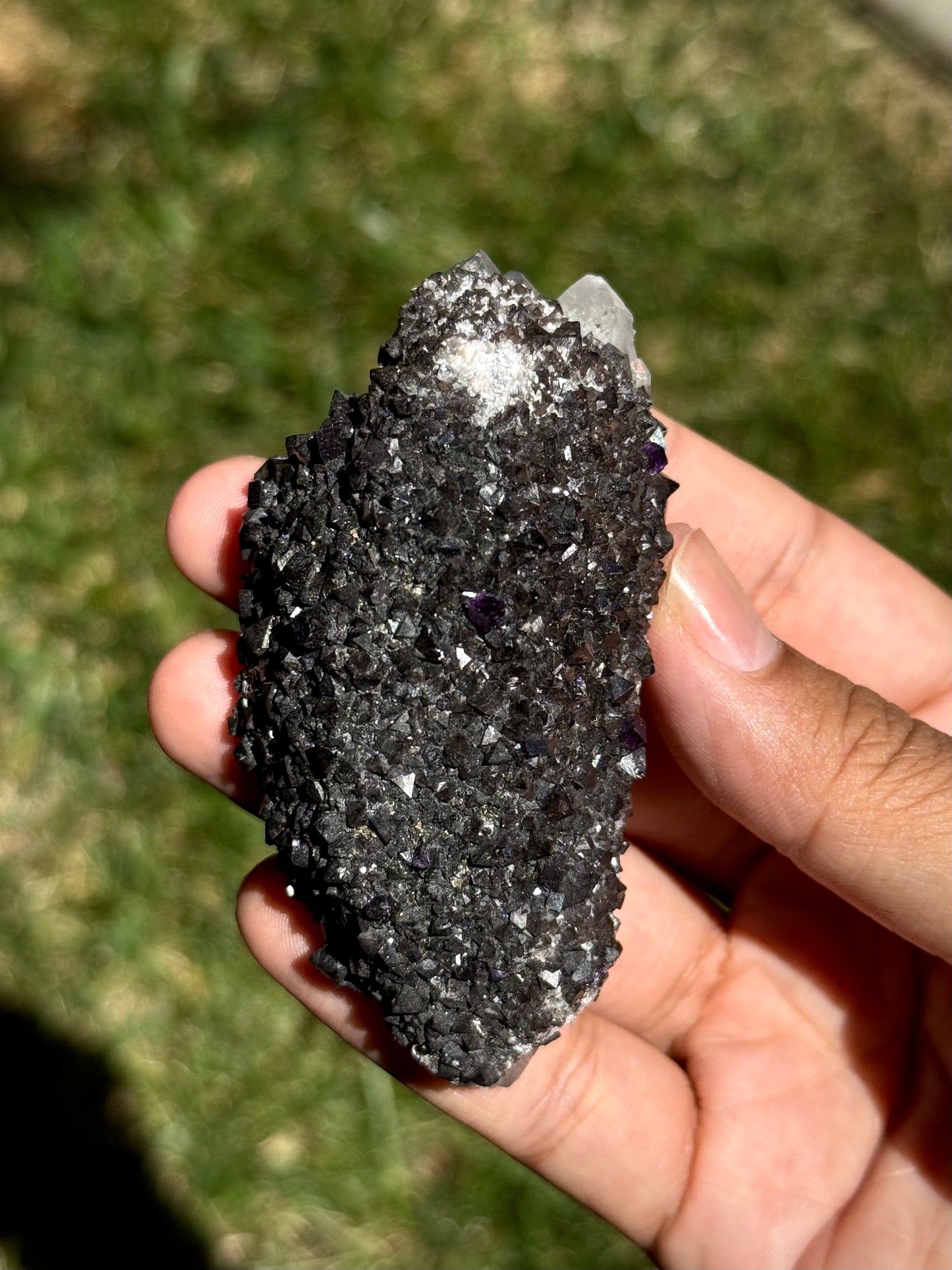 Quartz and Scheelite