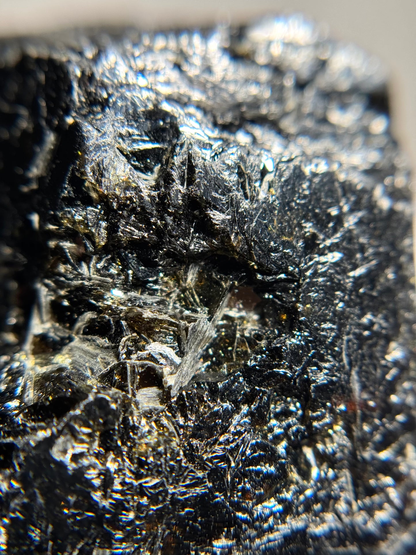 Dravite in Schorl