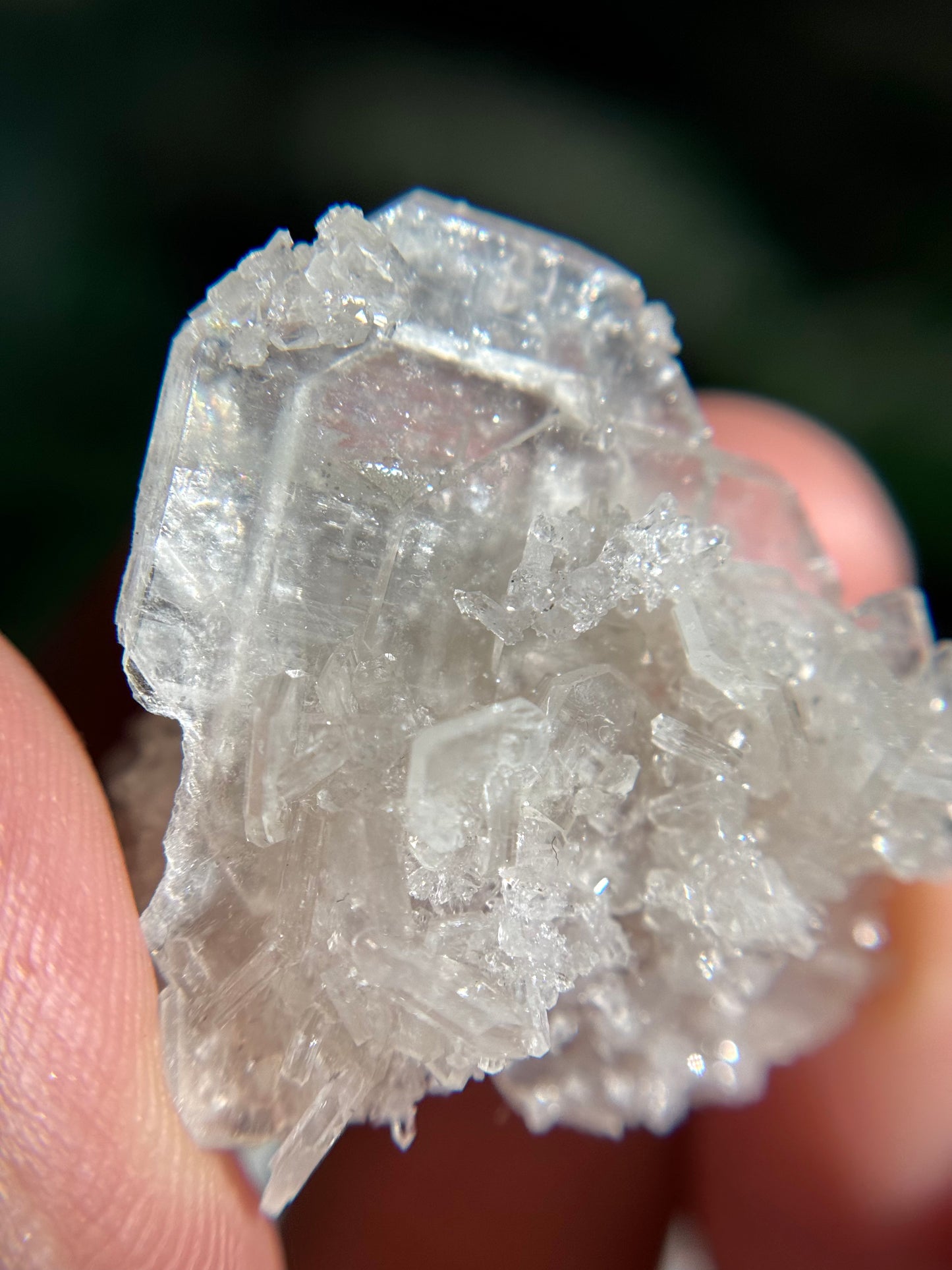 Apophyllite