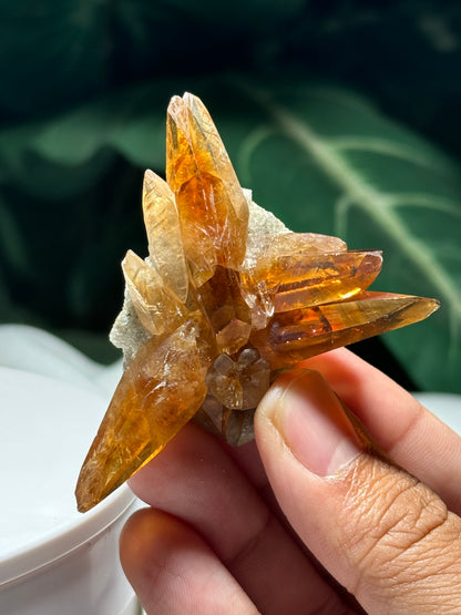 Highland Calcite