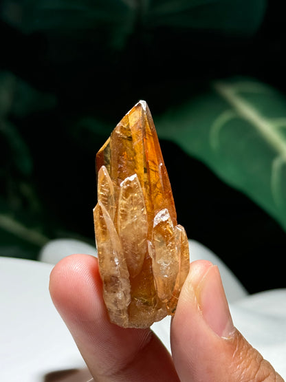 Highland Calcite