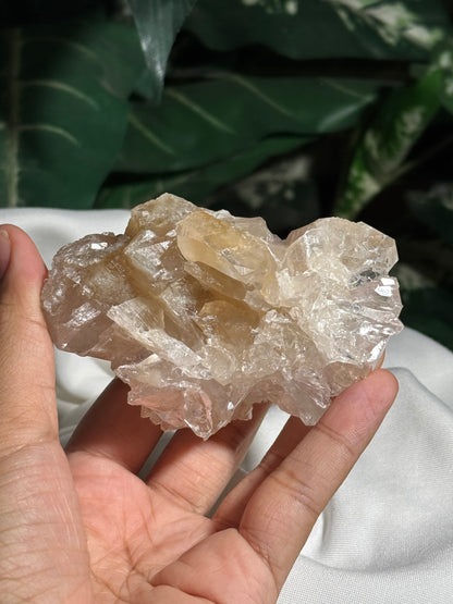 Apophyllite