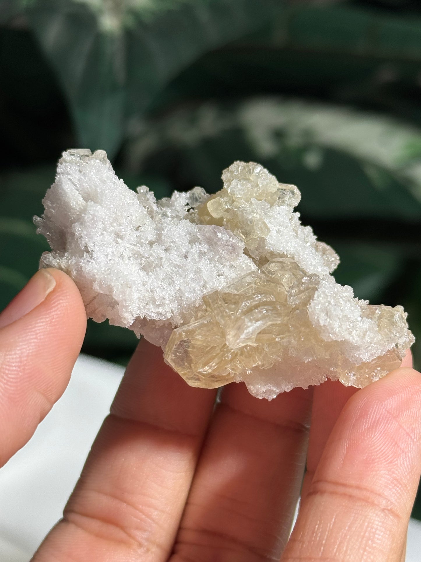 Apophyllite and Quartz