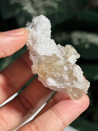 Apophyllite and Quartz