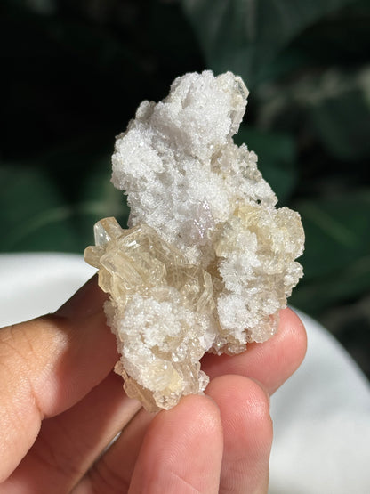 Apophyllite and Quartz