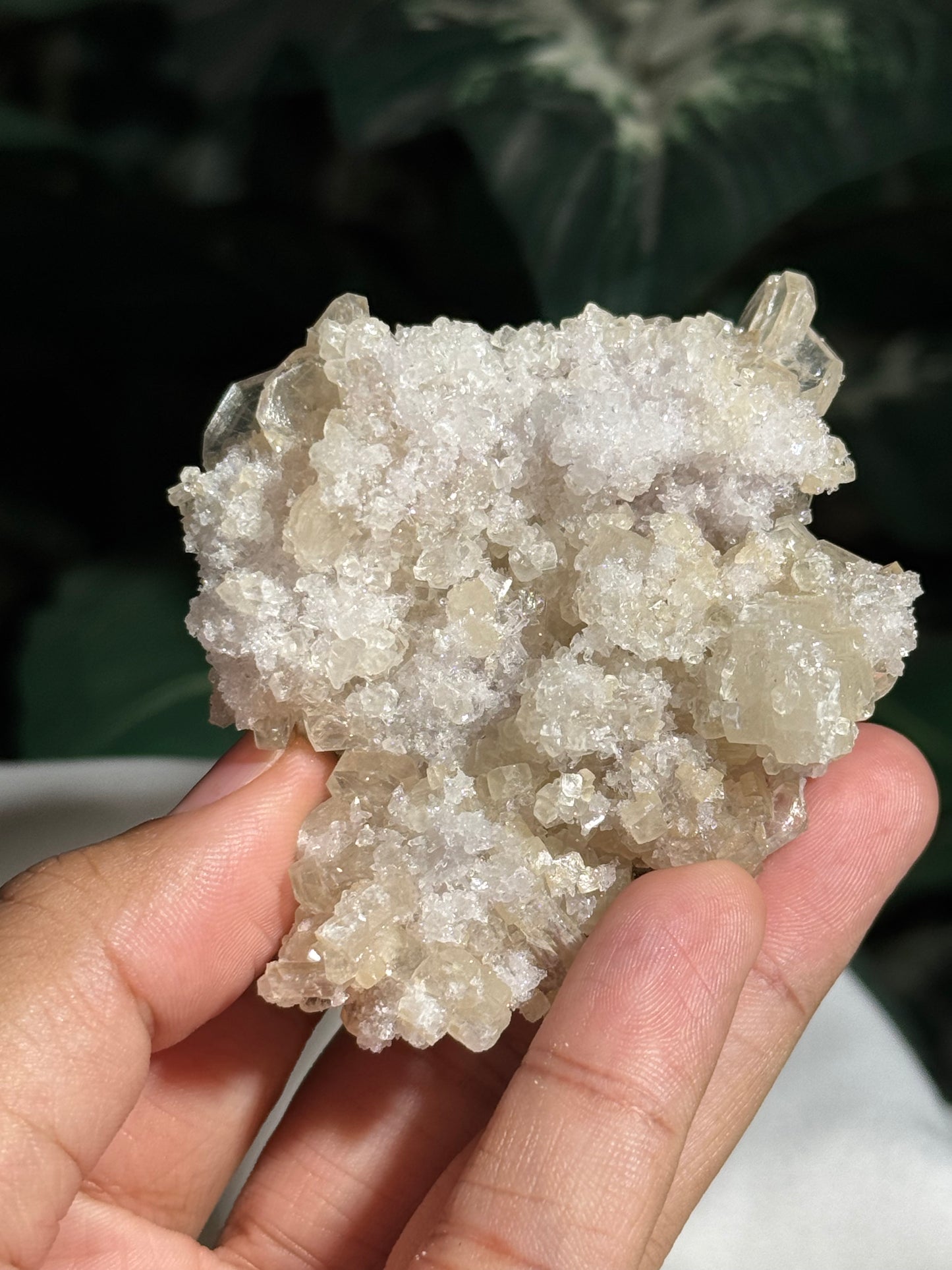 Apophyllite & Quartz