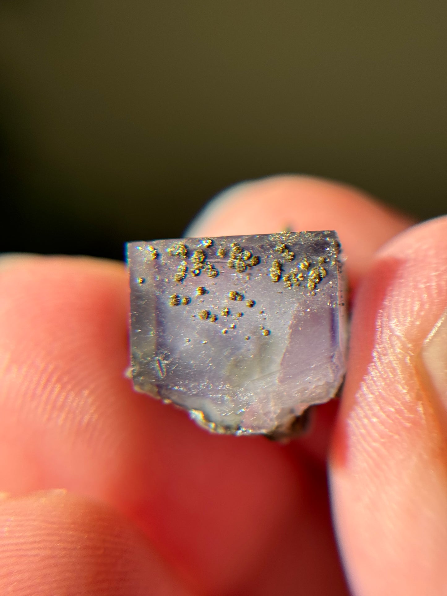 Fluorite with Pyrite Thumbnail