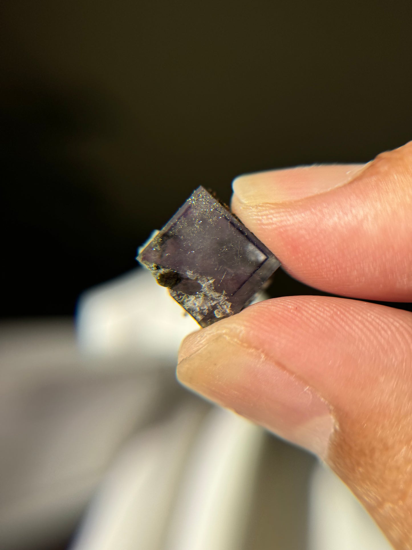 Fluorite with Pyrite Thumbnail