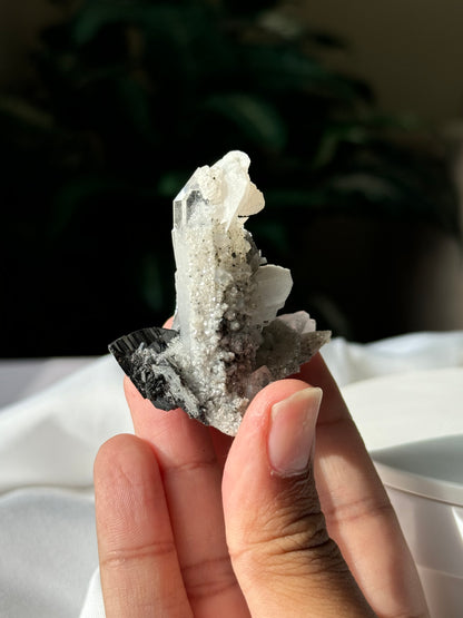 Quartz, Wolframite & Calcite