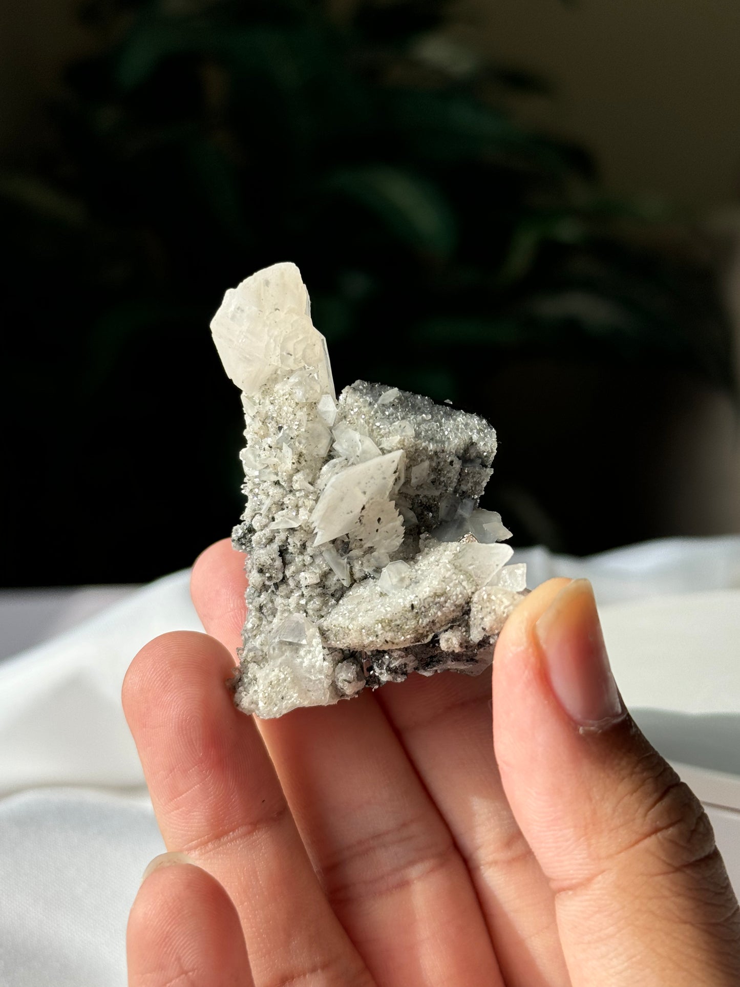 Quartz, Wolframite & Calcite