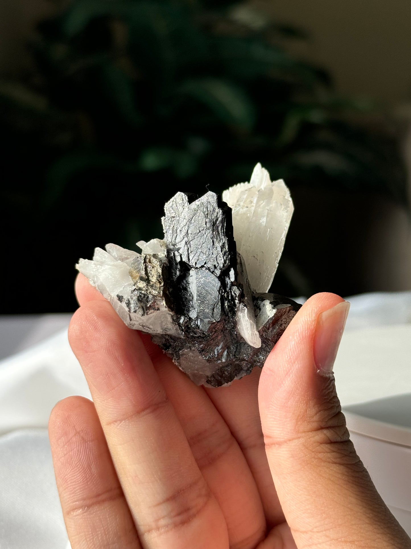 Quartz, Wolframite & Calcite