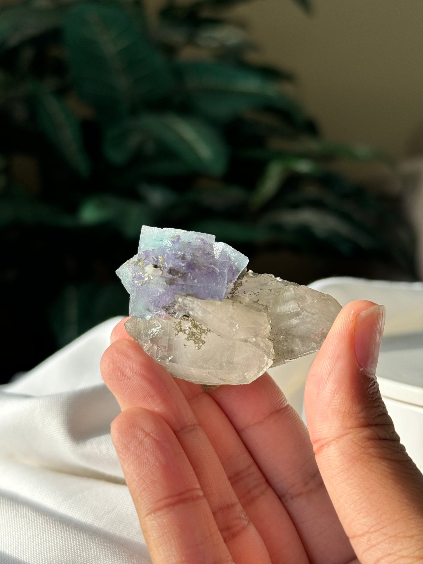 Quartz & Fluorite