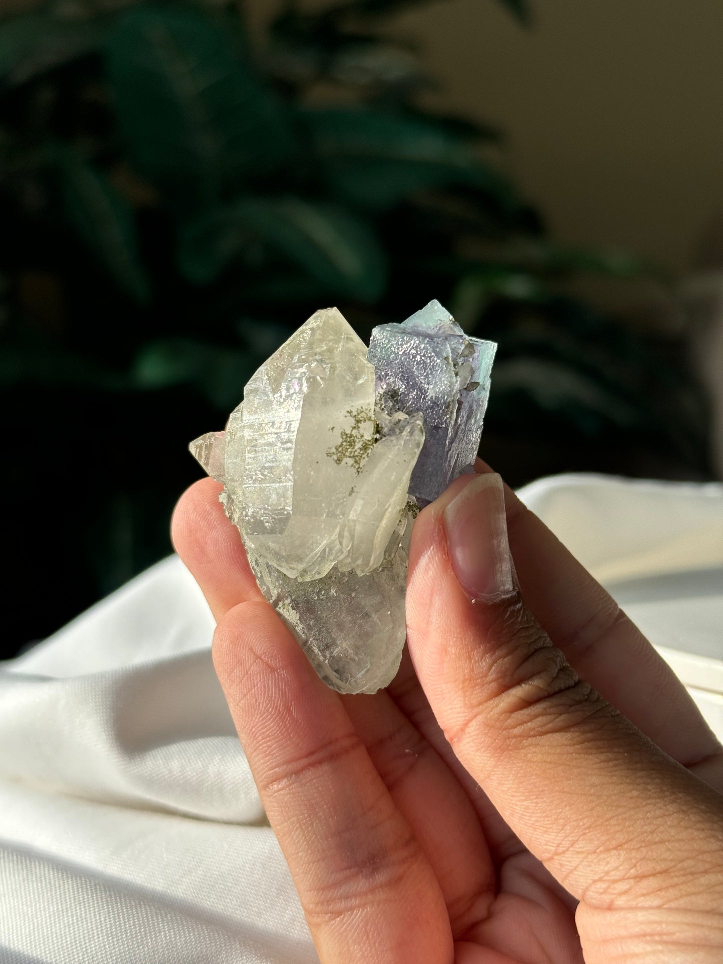 Quartz & Fluorite