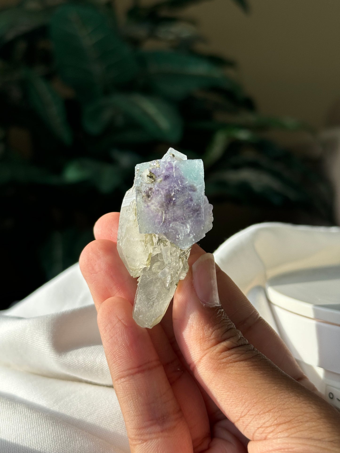 Quartz & Fluorite