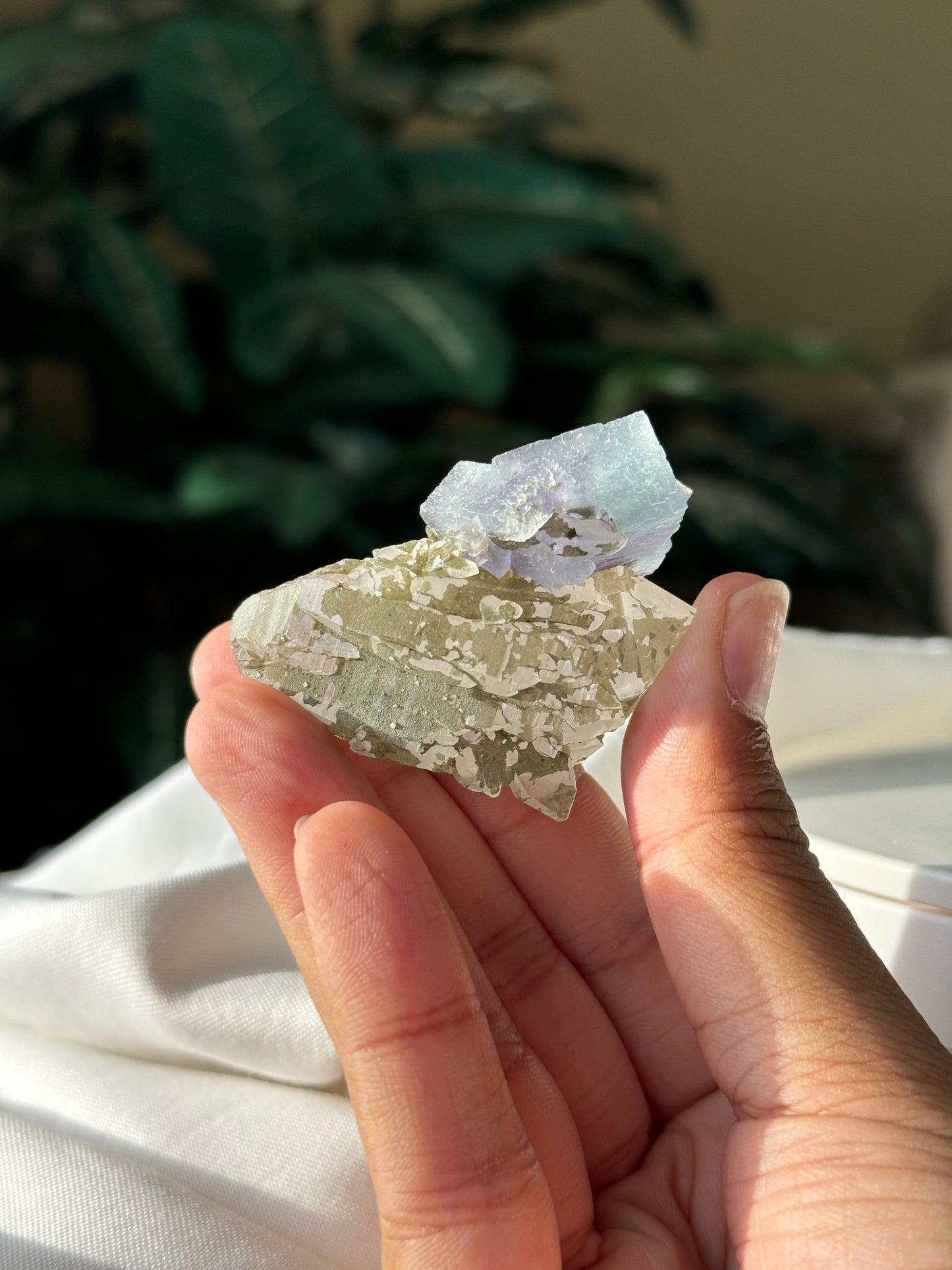 Quartz & Fluorite