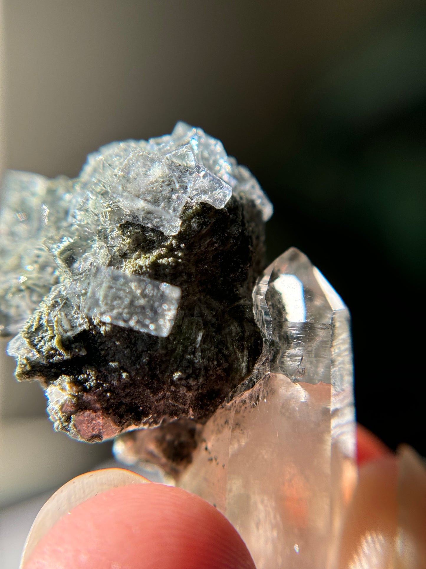 Quartz with Fluorite & Chlorite