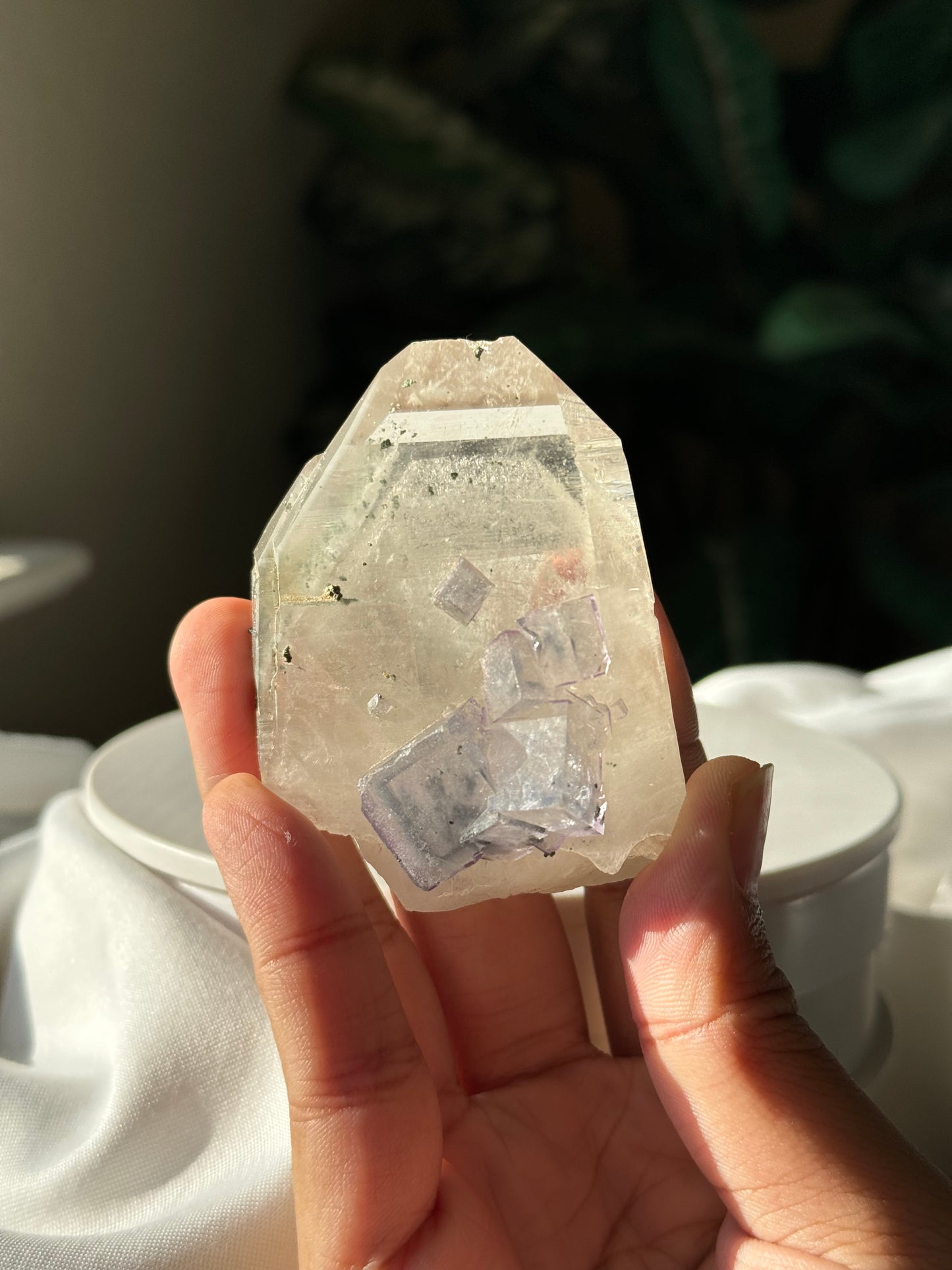 Quartz & Fluorite