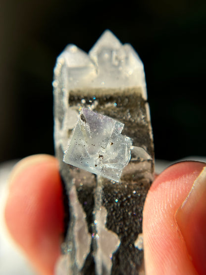 Quartz Floater with Fluorite, Chlorite and Rainbow Chalchopyrite