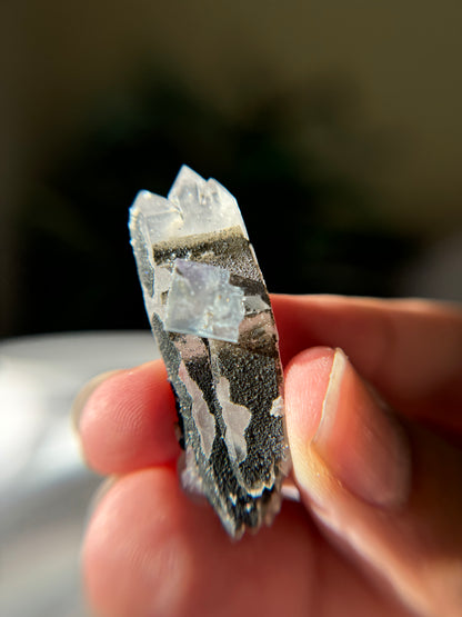 Quartz Floater with Fluorite, Chlorite and Rainbow Chalchopyrite