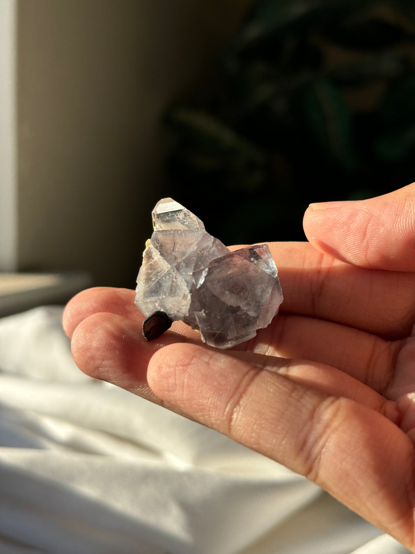 Quartz with Fluorite