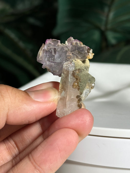 Quartz, Fluorite & Scheelite