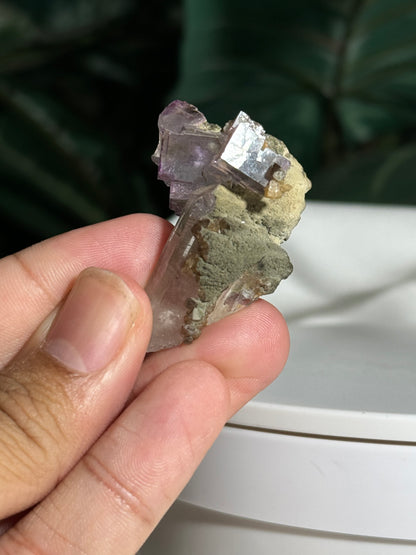 Quartz, Fluorite & Scheelite