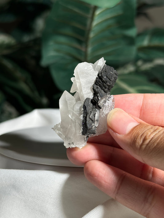 Quartz & Ferberite