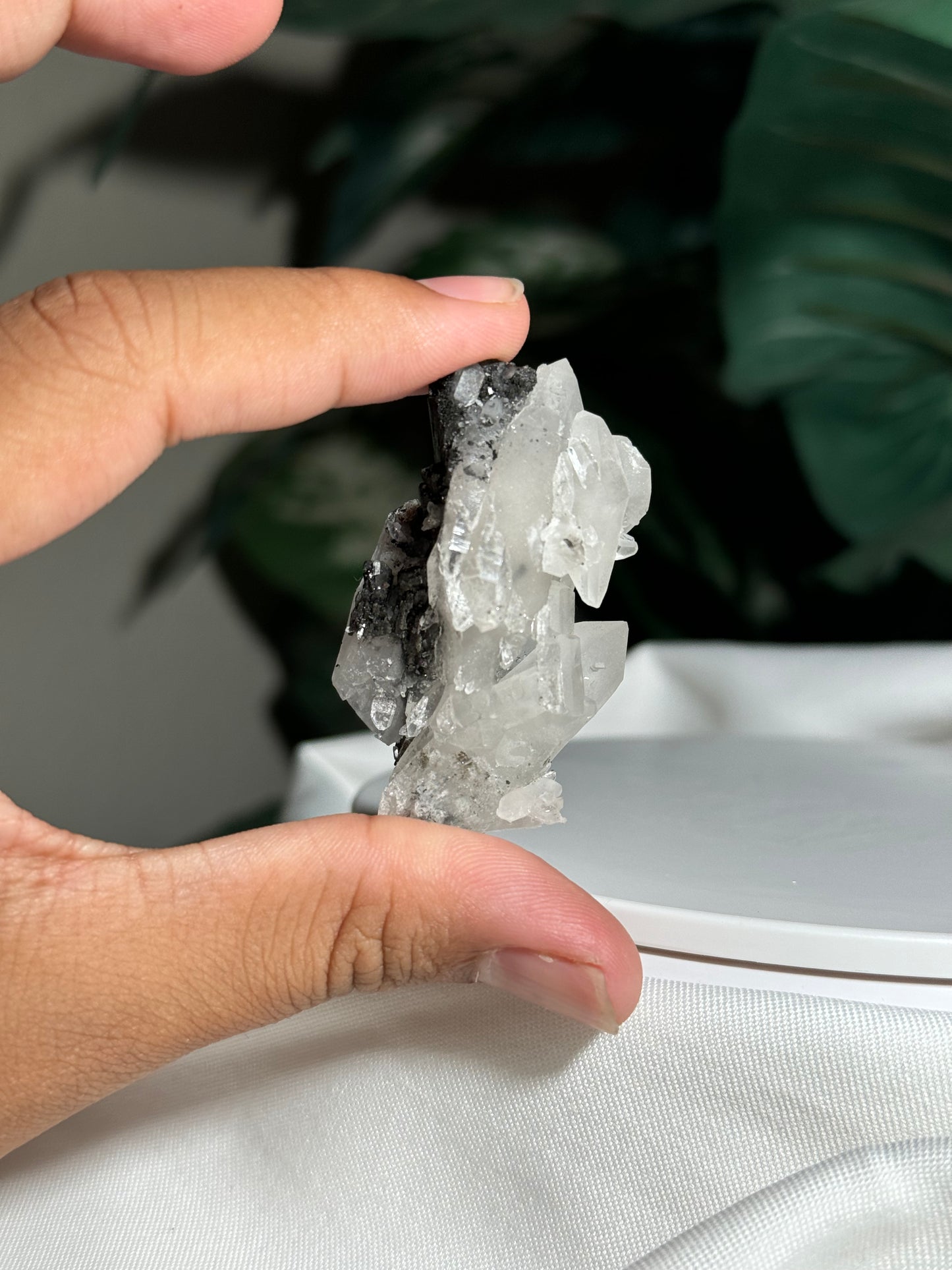 Quartz & Ferberite