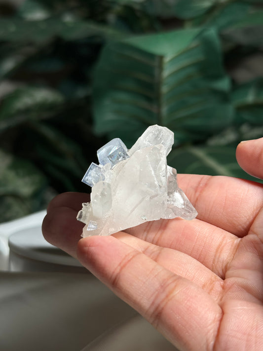 Quartz with Fluorite & Dolomite Inclusions