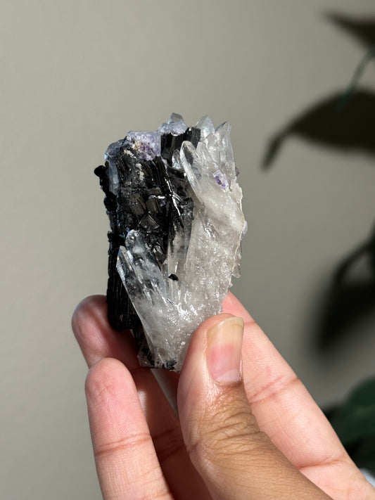 Quartz, Wolframite & Fluorite