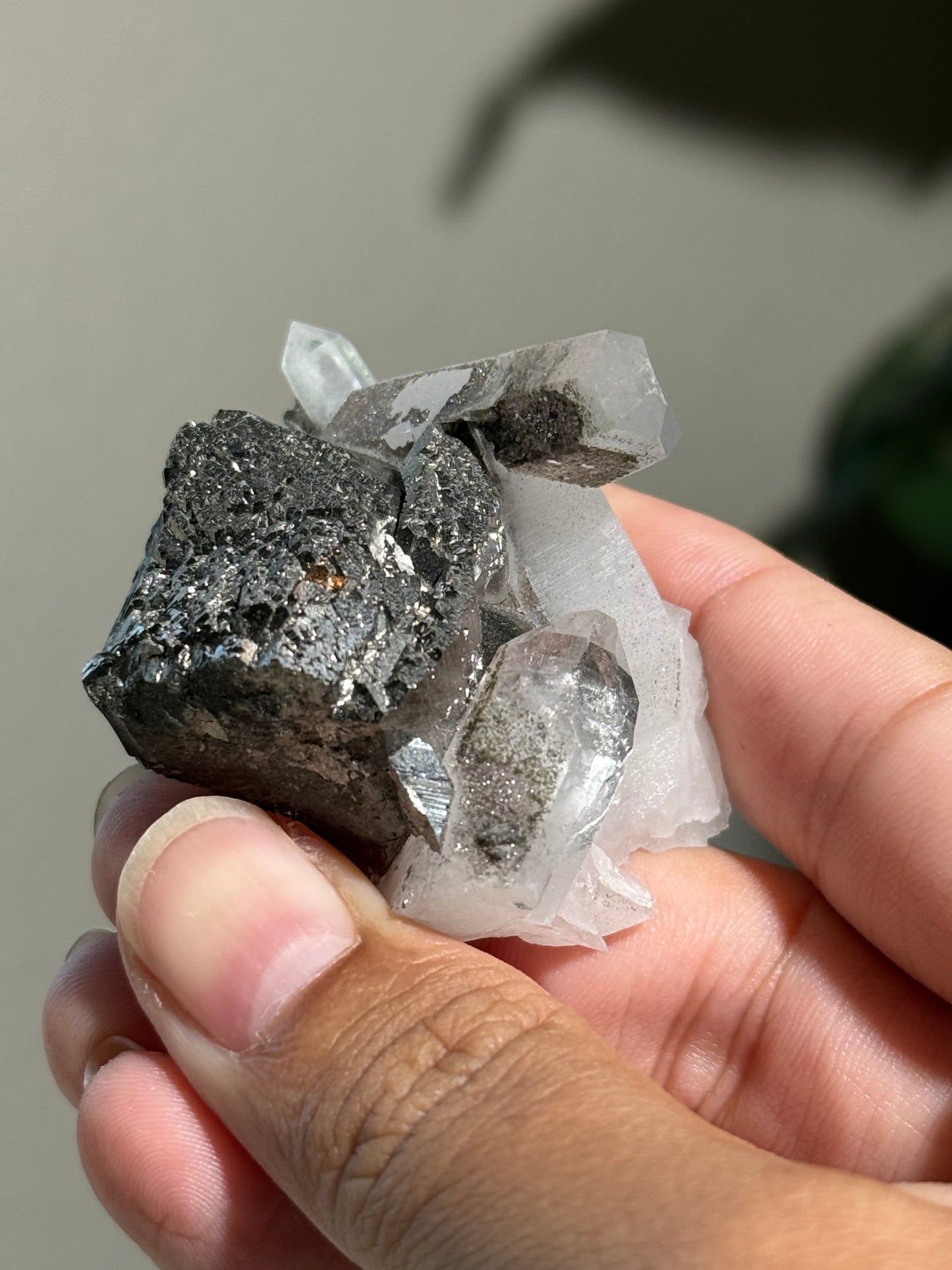 Quartz & Arsenopyrite